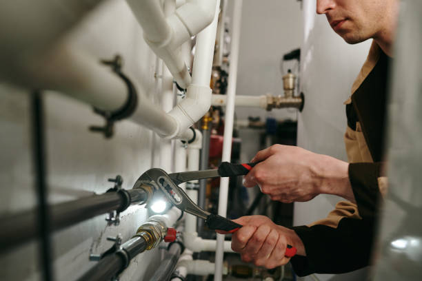 Best Faucet Repair  in Morrice, MI