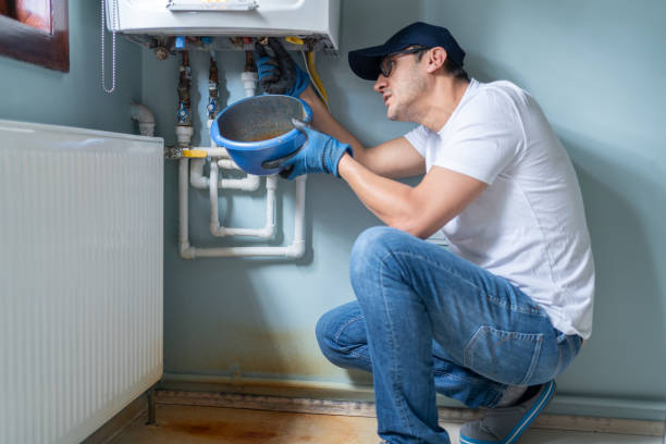 Best Emergency Plumber  in Morrice, MI