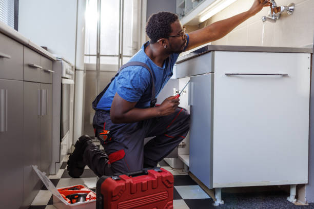 Best Sprinkler Systems  in Morrice, MI