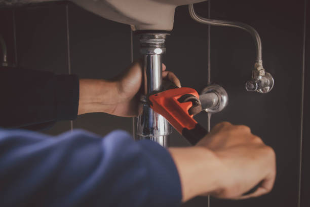 Best Septic Systems  in Morrice, MI